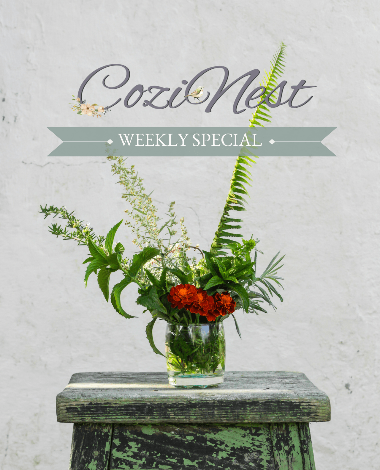 CoziNest Weekly Special4