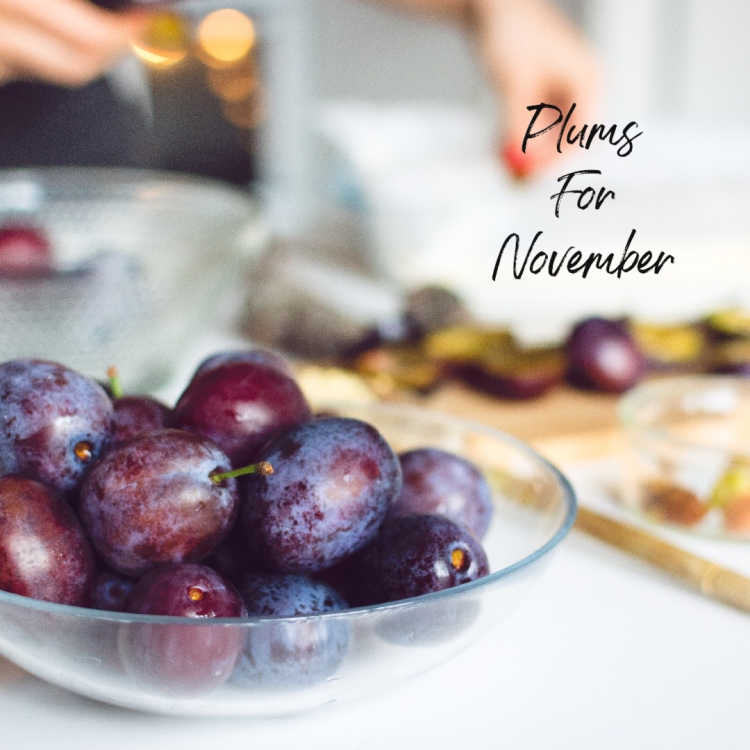 4 Delightful November Plums to Sweeten Your Dinner