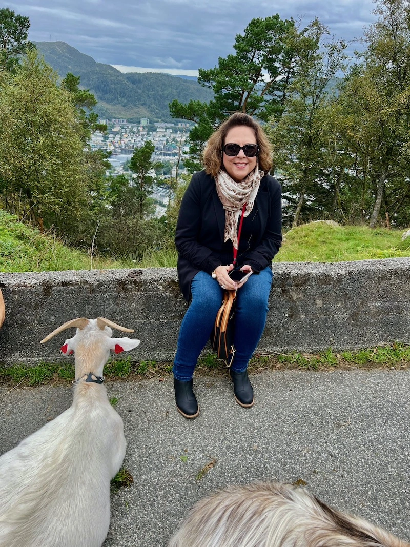 Billy goats of Bergen