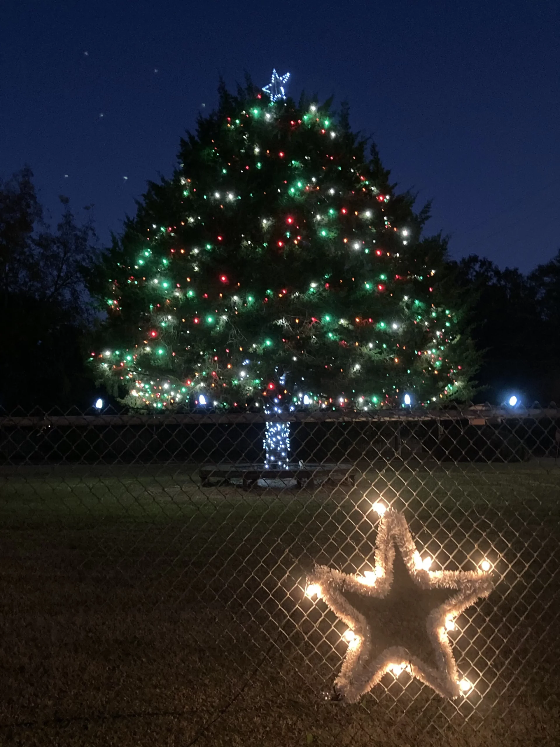 Chickasaw, Alabama Christmas Tree
