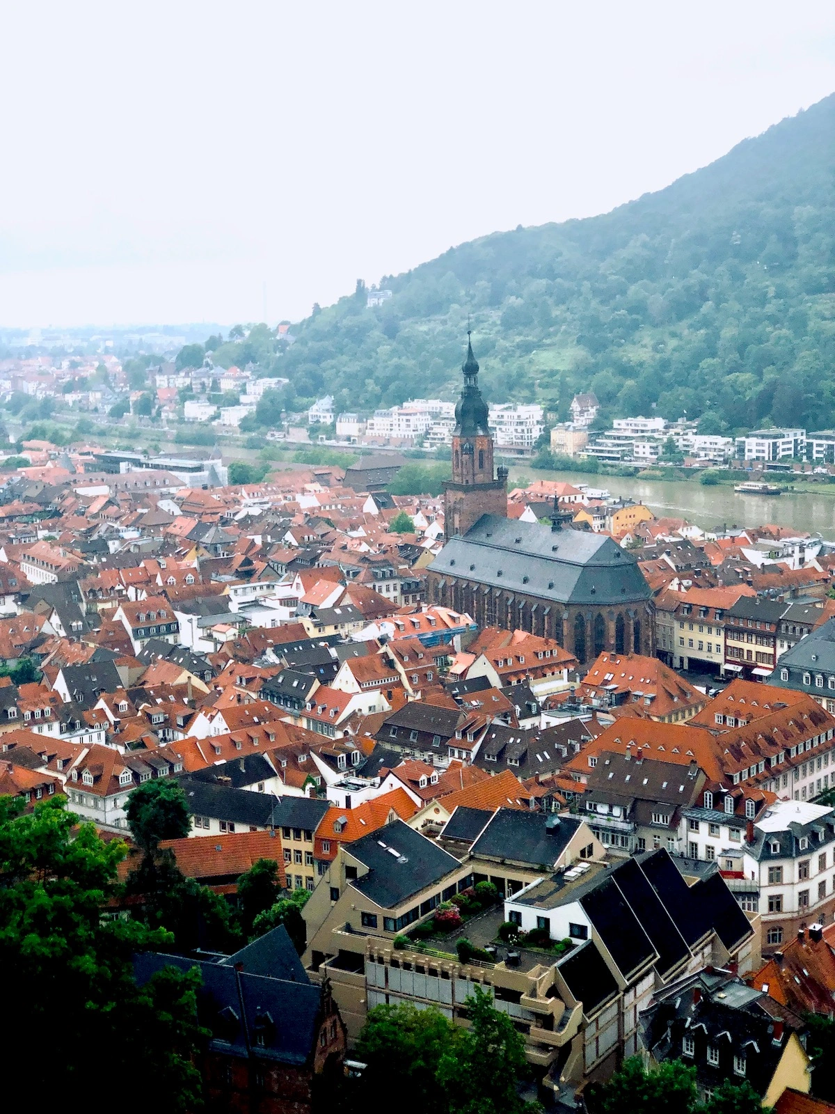 Heidelberg Cathedral 