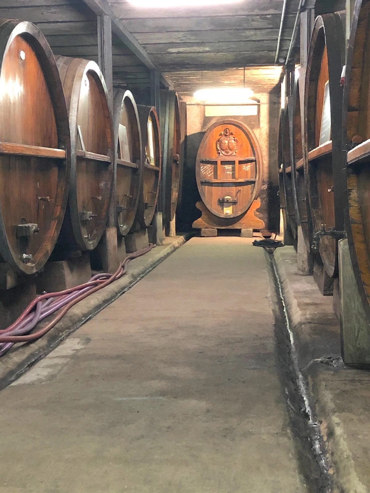 wine barrels at zeyssolff